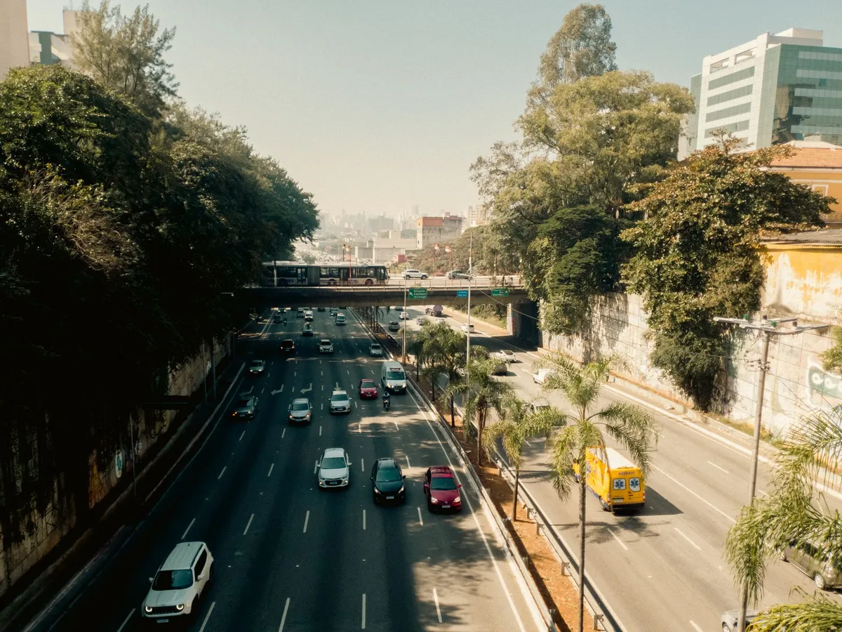 Carros numa avenida arborizada de São Paulo, vista do alto